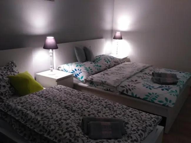 Apartman 404 Jáchymov Dış mekan fotoğraf